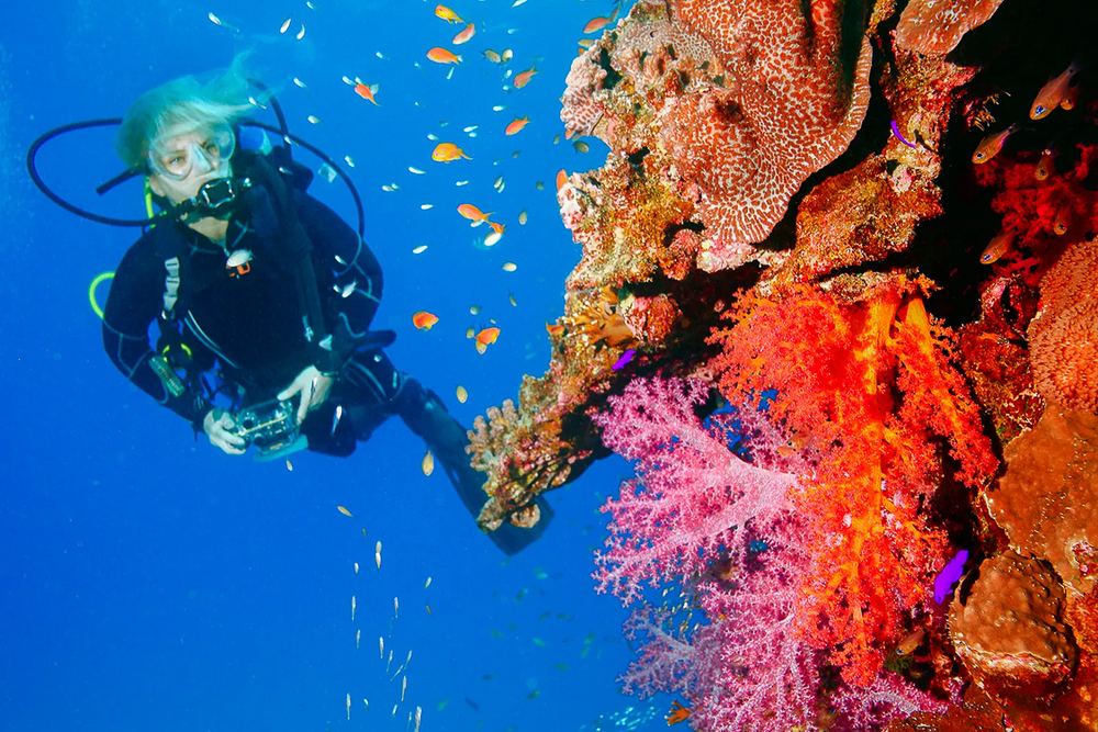 Scuba